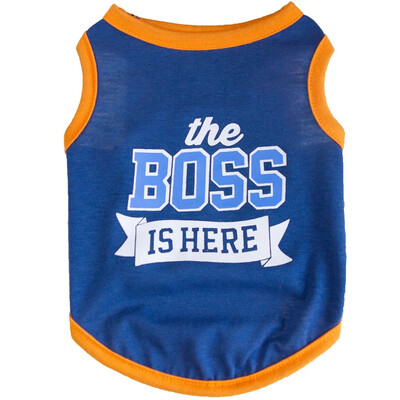 Ljetna pamučna odjeća za mačke Sphynx Odjeća Otisnuta slova Pet prsluk Majica za mačke Gotas Kitten Garfield Majice maskote Odjeća