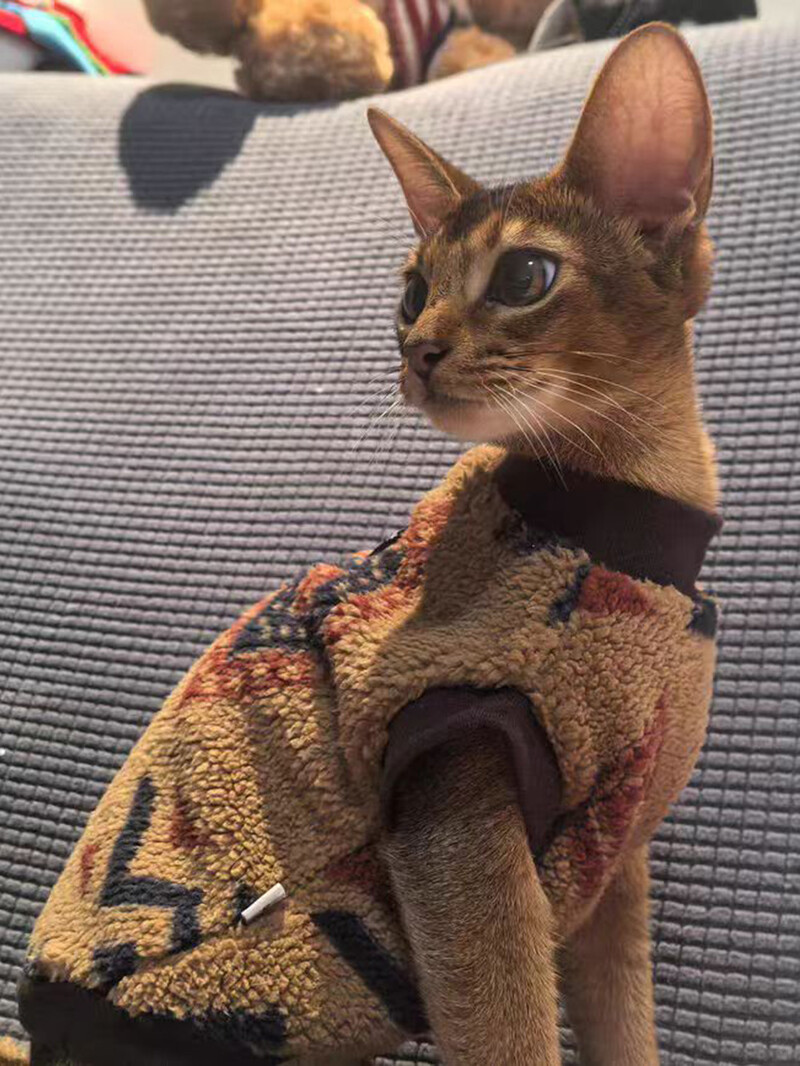 Nemzeti stílusú macska kölyök pulóver őszi téli kisállatruházat polár pulóver kis kutyáknak macskáknak cica szfinx ruházati ruhák