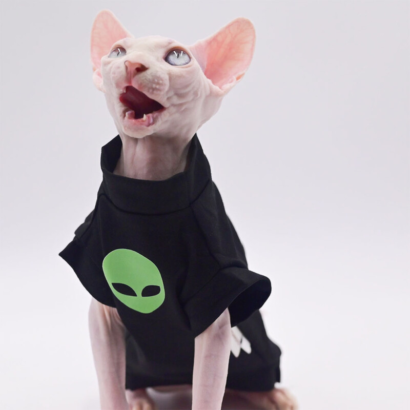 Haine pentru pisici pentru Sphynx, haină neagră din bumbac, pentru pisică, tricou cu dungi de iarnă, pentru Devon Rex, tricou din bumbac moale, costum de pisică