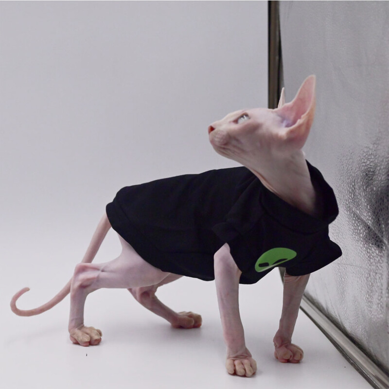 Haine pentru pisici pentru Sphynx, haină neagră din bumbac, pentru pisică, tricou cu dungi de iarnă, pentru Devon Rex, tricou din bumbac moale, costum de pisică