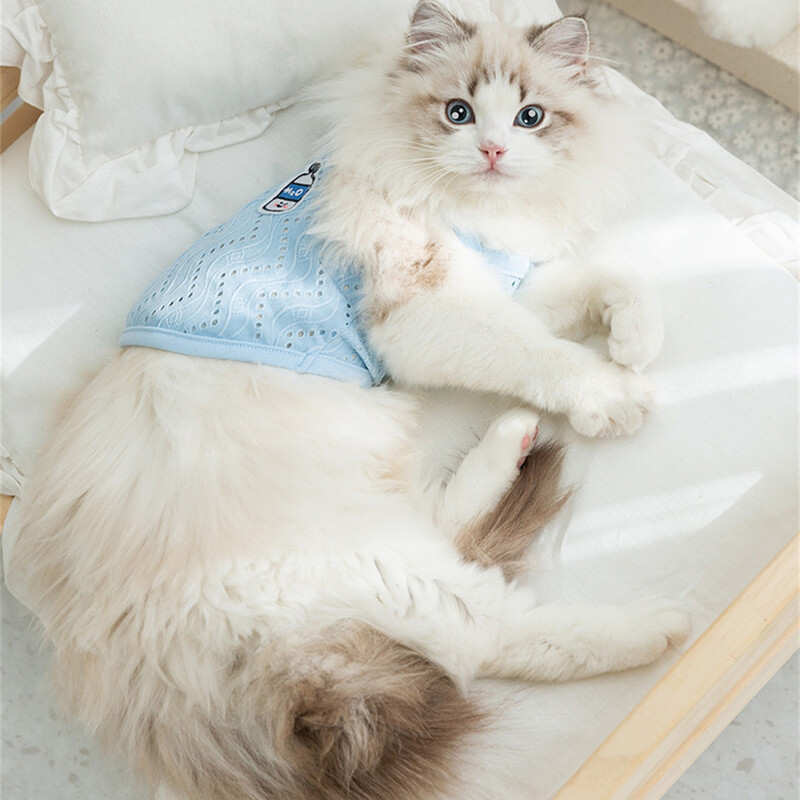 Pisică, cățeluș, vestă pentru camisole, cu scobitură, haine de vară, respirabile pentru animale de companie, pentru câini de talie mică, pisici, haine pentru pisoi