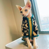 Katės megztinis žiemą Fahion Warm Ollie Velvet striukė su užtrauktuku Sfinkso katei Storas žalias rudeninis paltas Devon Rex Cat Supplies