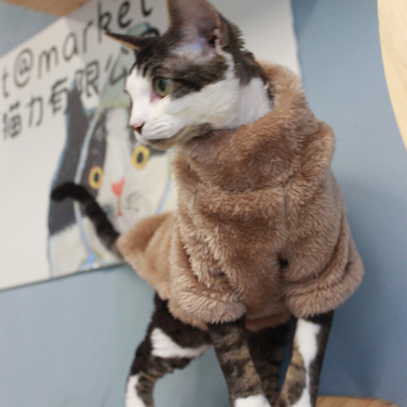 2024 m. naujas kačių megztinis Žiemos mados storėjantis šiltas sfinkso drabužis Namai Patogūs žieminiai šunų drabužiai mažiems šunims šuniukas