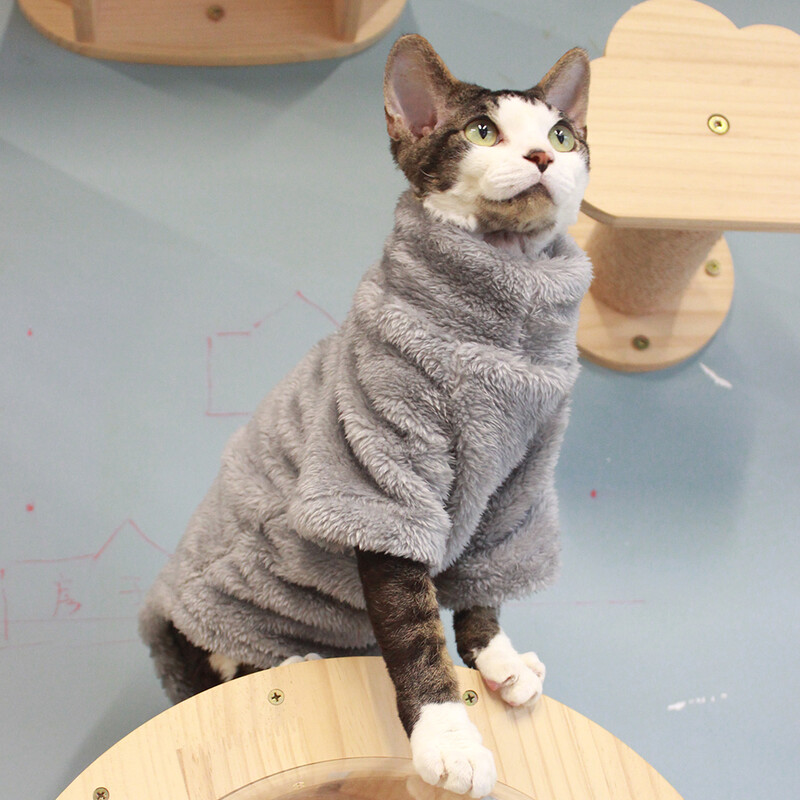 2024 m. naujas kačių megztinis Žiemos mados storėjantis šiltas sfinkso drabužis Namai Patogūs žieminiai šunų drabužiai mažiems šunims šuniukas