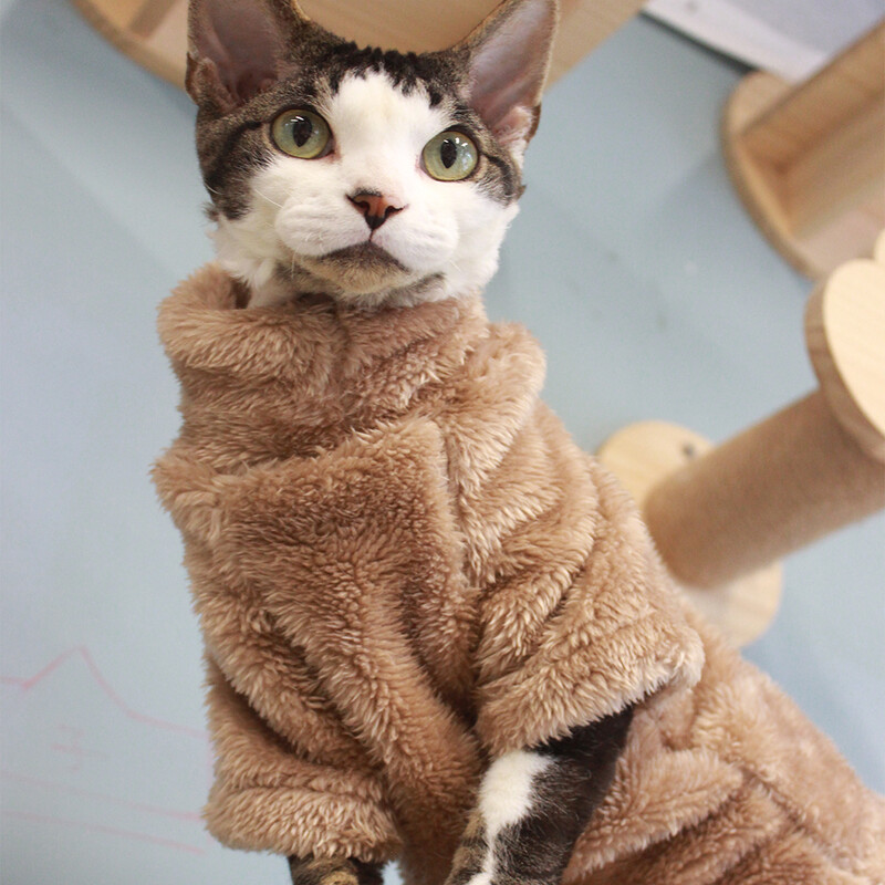 2024 m. naujas kačių megztinis Žiemos mados storėjantis šiltas sfinkso drabužis Namai Patogūs žieminiai šunų drabužiai mažiems šunims šuniukas