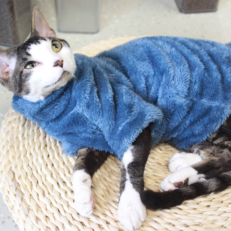 2024 m. naujas kačių megztinis Žiemos mados storėjantis šiltas sfinkso drabužis Namai Patogūs žieminiai šunų drabužiai mažiems šunims šuniukas