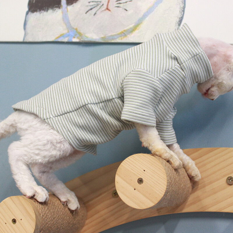 Pulover de pisică pentru pisica Sphynx, iarnă, cu mâneci lungi, haină verde caldă Srtipe pentru Devon Rex Hanorac moale din desene animate Elestic pentru pisoi