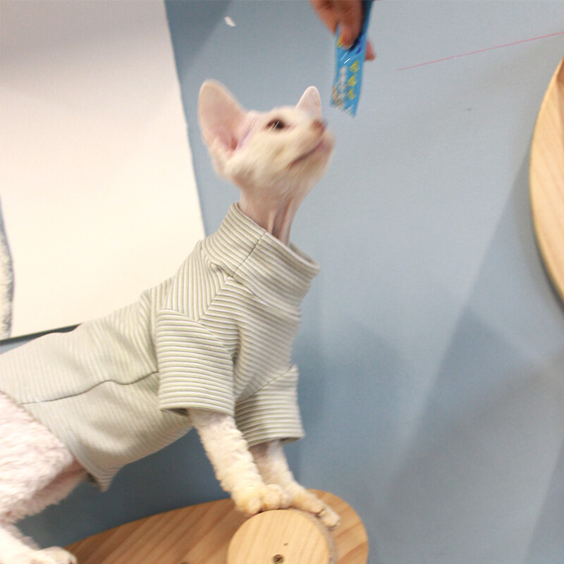 Pulover de pisică pentru pisica Sphynx, iarnă, cu mâneci lungi, haină verde caldă Srtipe pentru Devon Rex Hanorac moale din desene animate Elestic pentru pisoi