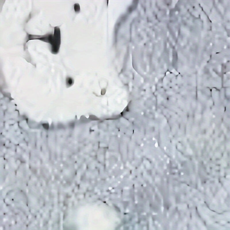 Mājdzīvnieku drēbes, suņi, kaķi, flaneļa aizsargi, ērti, silti un elpojoši, vienkārši, dāsni, svaigi un jauki