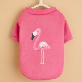 Mājdzīvnieku drēbes suns suns kaķis sporta krekls bez kapuces ar samta siltu un ērtu rozā A apģērbu ar apdrukām Vienkāršs un dāsns