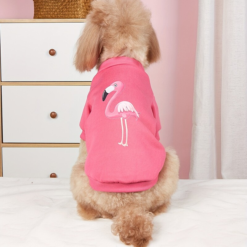 Mājdzīvnieku drēbes suns suns kaķis sporta krekls bez kapuces ar samta siltu un ērtu rozā A apģērbu ar apdrukām Vienkāršs un dāsns