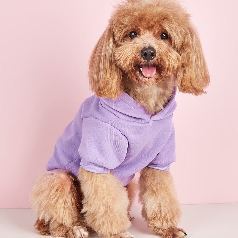 Mājdzīvnieku drēbes, suņi, kaķi, sporta krekli, silti un ērti ar samtu, apdrukātas drēbes, vienkāršas un dāsnas