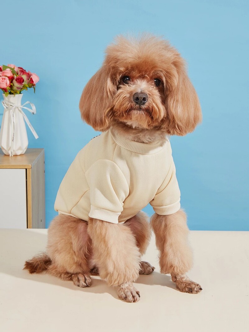 Mājdzīvnieku drēbes suņu kaķu sporta krekls ar samta siltu un ērtu purpursarkanu un zaļu šuvju apģērbu ar vienkāršiem un dāsniem apdrukām