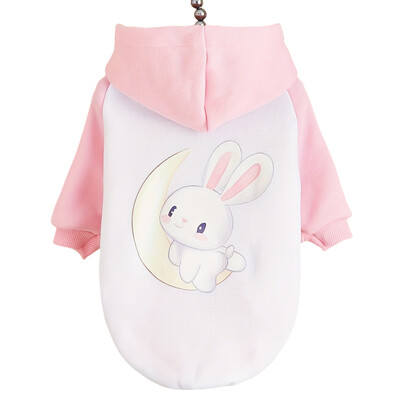 Drabužiai gyvūnams, šunys, katės, megztiniai, šilti ir patogūs su aksomu, marginti drabužiai, paprasti ir dosnūs