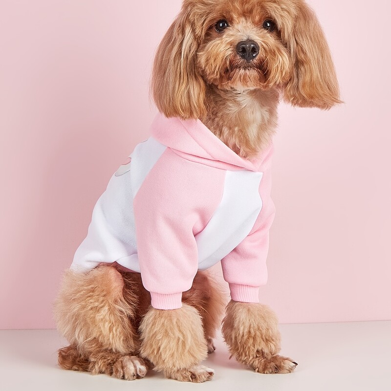 Drabužiai gyvūnams, šunys, katės, megztiniai, šilti ir patogūs su aksomu, marginti drabužiai, paprasti ir dosnūs