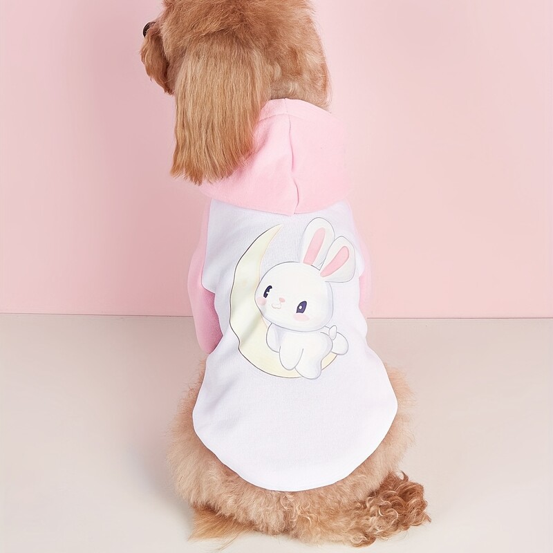 Drabužiai gyvūnams, šunys, katės, megztiniai, šilti ir patogūs su aksomu, marginti drabužiai, paprasti ir dosnūs