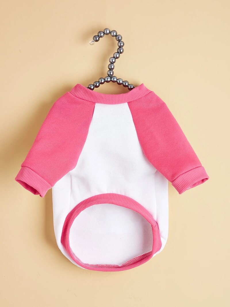 Mājdzīvnieku drēbes, suņi, kaķi, sporta krekli, silti un ērti ar samtu, apdrukātas drēbes, vienkāršas un dāsnas