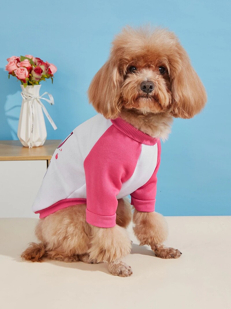 Mājdzīvnieku drēbes, suņi, kaķi, sporta krekli, silti un ērti ar samtu, apdrukātas drēbes, vienkāršas un dāsnas