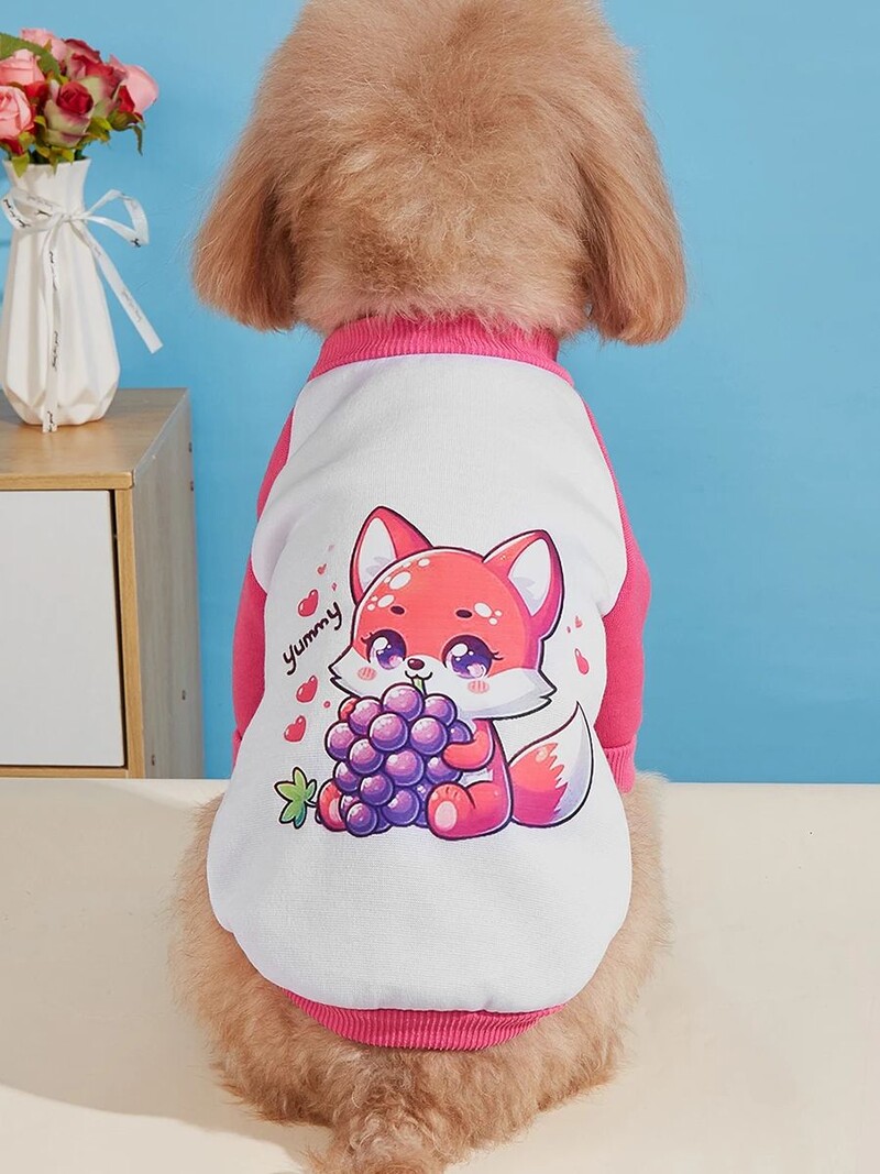 Mājdzīvnieku drēbes, suņi, kaķi, sporta krekli, silti un ērti ar samtu, apdrukātas drēbes, vienkāršas un dāsnas