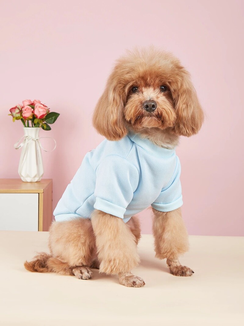 Kisállat ruhák, kutyák, macskák, pulóverek, meleg és kényelmes bársony, nyomott ruhák, egyszerű és nagyvonalú