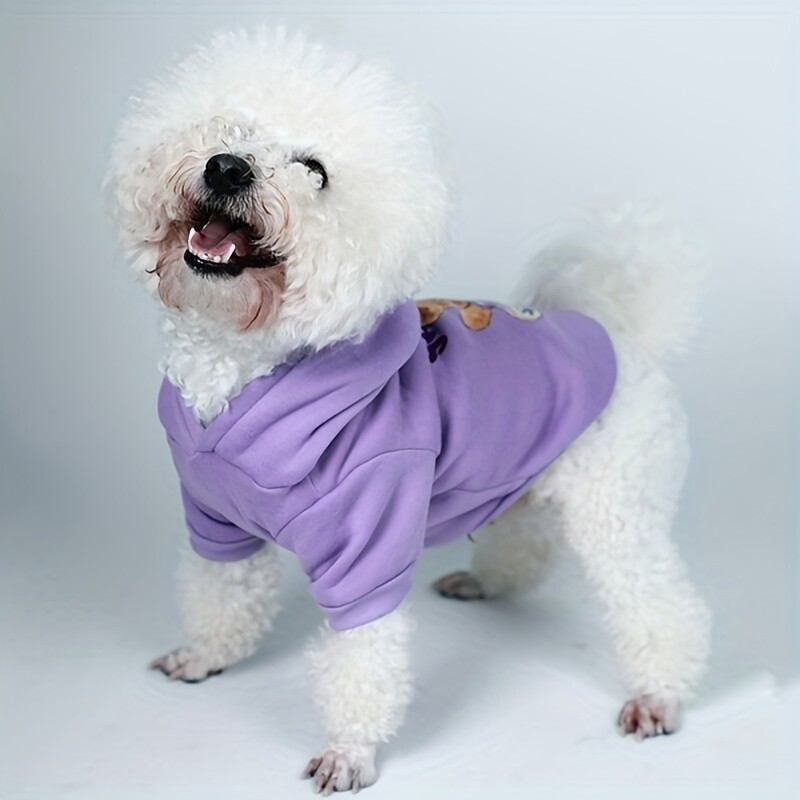 Mājdzīvnieku drēbes, suņi, kaķi, sporta krekli, silti un ērti ar samtu, apdrukātas drēbes, vienkāršas un dāsnas