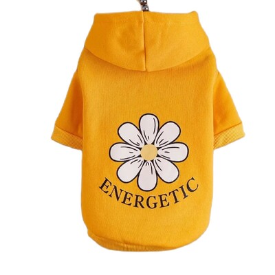 Mājdzīvnieku drēbes, suņi, kaķi, sporta krekli, silti un ērti ar samtu, apdrukātas drēbes, vienkāršas un dāsnas