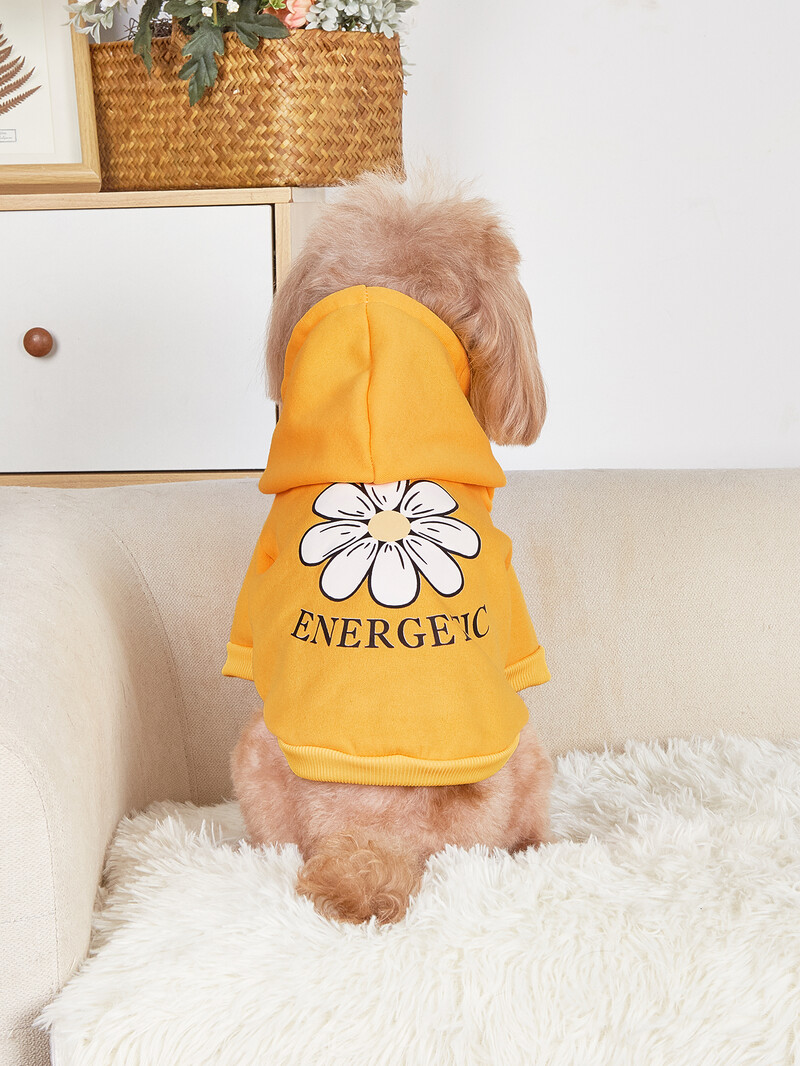 Mājdzīvnieku drēbes, suņi, kaķi, sporta krekli, silti un ērti ar samtu, apdrukātas drēbes, vienkāršas un dāsnas