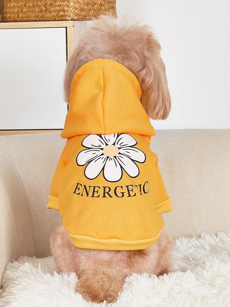 Mājdzīvnieku drēbes, suņi, kaķi, sporta krekli, silti un ērti ar samtu, apdrukātas drēbes, vienkāršas un dāsnas