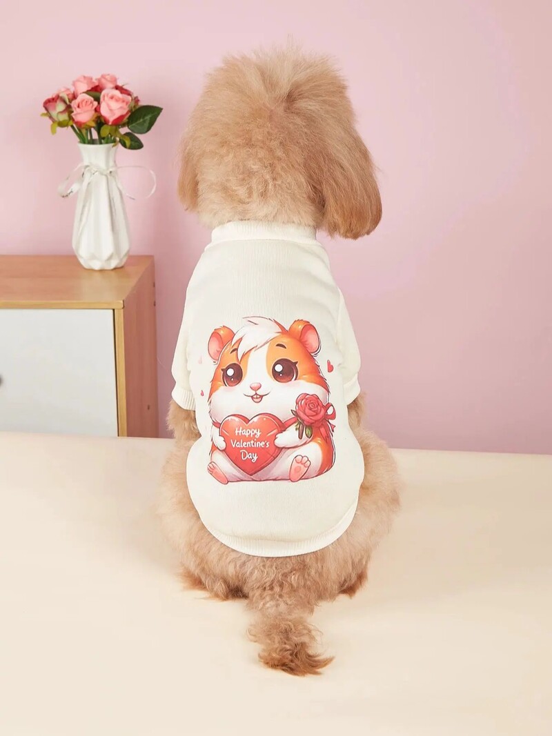 Mājdzīvnieku drēbes, suņi, kaķi, sporta krekli, silti un ērti ar samtu, apdrukātas drēbes, vienkāršas un dāsnas