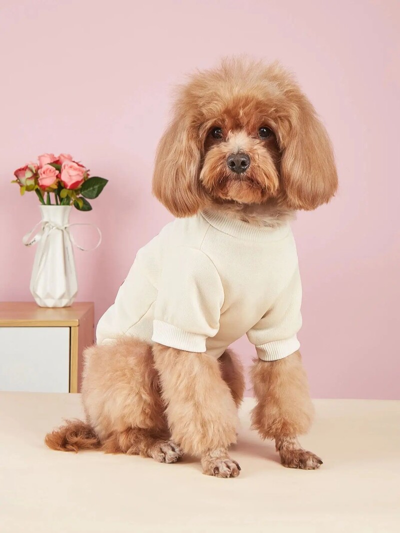 Mājdzīvnieku drēbes, suņi, kaķi, sporta krekli, silti un ērti ar samtu, apdrukātas drēbes, vienkāršas un dāsnas