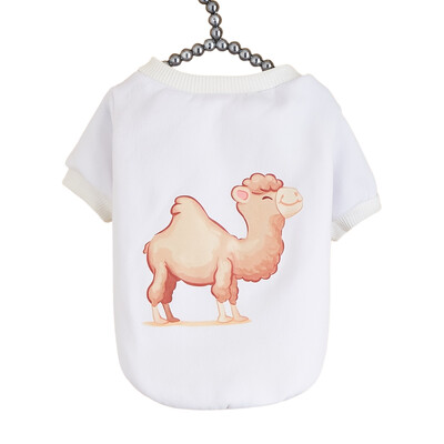 Kisállat ruhák, kutyák, macskák, pulóverek, meleg és kényelmes bársony, nyomott ruhák, egyszerű és nagyvonalú