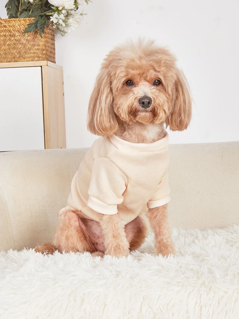 Mājdzīvnieku drēbes, suņi, kaķi, sporta krekli, silti un ērti ar samtu, apdrukātas drēbes, vienkāršas un dāsnas