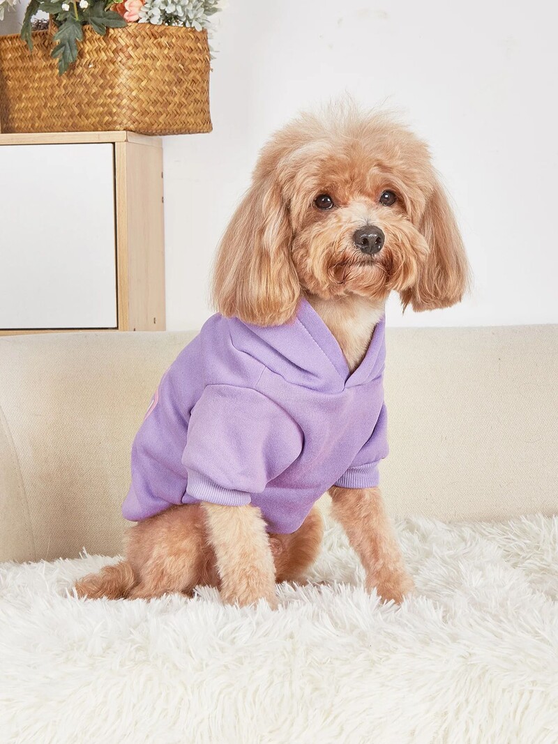 Mājdzīvnieku drēbes, suņi, kaķi, sporta krekli, silti un ērti ar samtu, apdrukātas drēbes, vienkāršas un dāsnas