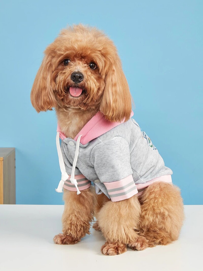 Mājdzīvnieku drēbes suņu kaķu jaka siltas un ērtas drēbes ar apdrukām Vienkāršs un dāsns