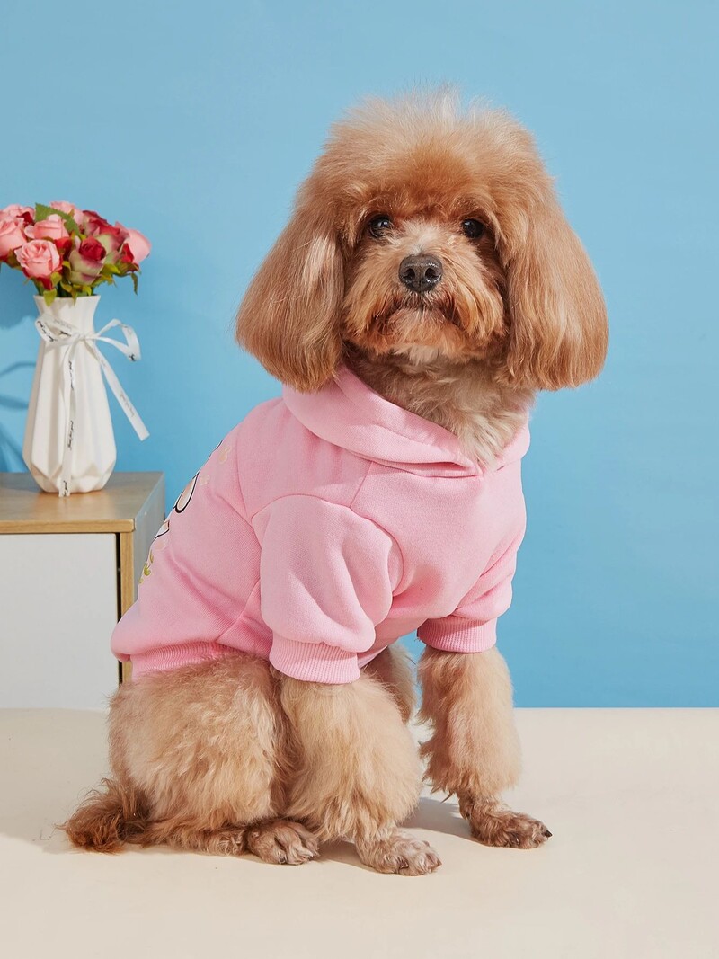 Kisállatruházat kutya-macska pulóver bársony meleg és kényelmes ruhákkal, egyszerű, divatos és nagyvonalú mintákkal