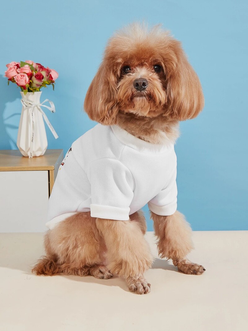 Mājdzīvnieku drēbes, suņi, kaķi, sporta krekli, silti un ērti ar samtu, apdrukātas drēbes, vienkāršas un dāsnas