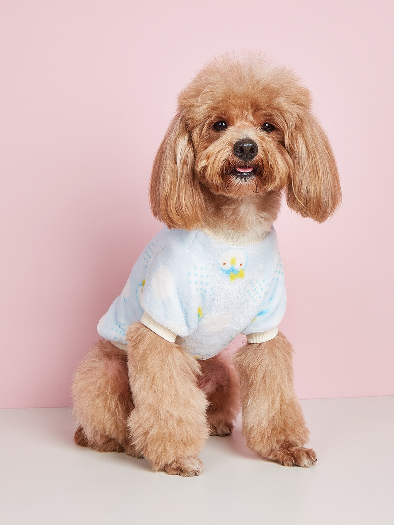 Mājdzīvnieku drēbes, suņi, kaķi, flaneļa aizsargi, ērti, silti un elpojoši, vienkārši, dāsni, svaigi un mīļi