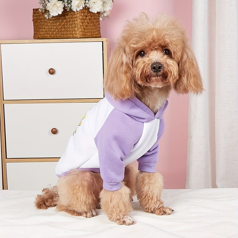 Drabužiai naminiams gyvūnėliams šunų kačių megztinis su gobtuvu su aksominiu šiltu ir patogiu purpuriniu ir baltu kratiniu rūbai su raštais pilka paprasta