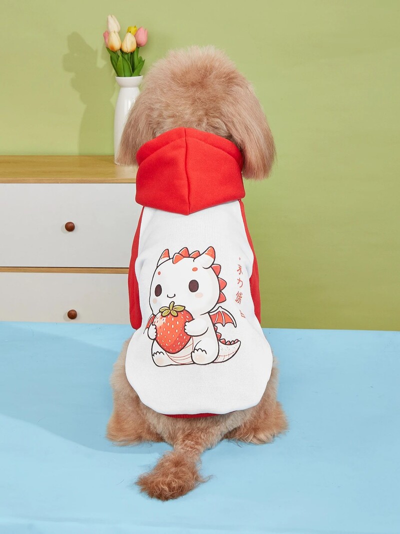 Drabužiai gyvūnams, šunys, katės, megztiniai, šilti ir patogūs su aksomu, marginti drabužiai, paprasti ir dosnūs