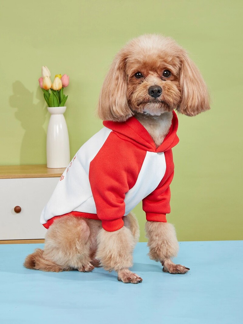 Drabužiai gyvūnams, šunys, katės, megztiniai, šilti ir patogūs su aksomu, marginti drabužiai, paprasti ir dosnūs