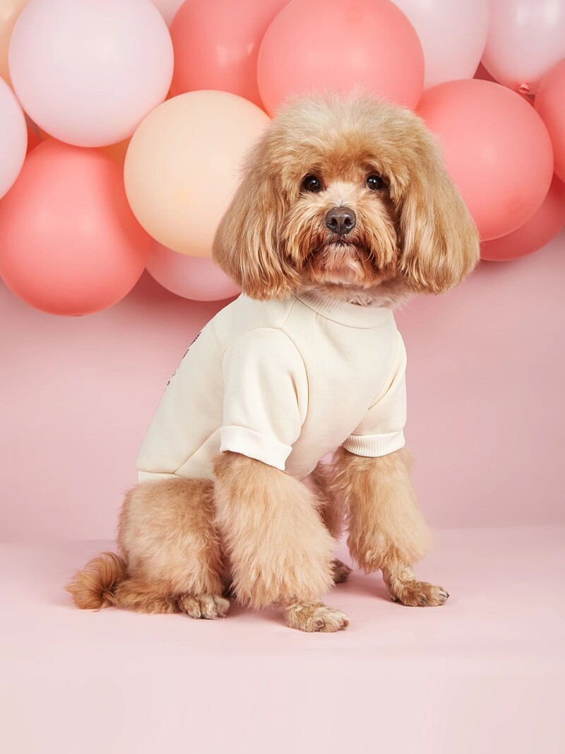 Mājdzīvnieku drēbes, suņi, kaķi, sporta krekli, silti un ērti ar samtu, apdrukātas drēbes, vienkāršas un dāsnas