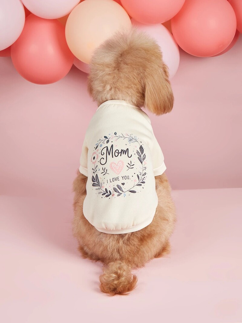 Mājdzīvnieku drēbes, suņi, kaķi, sporta krekli, silti un ērti ar samtu, apdrukātas drēbes, vienkāršas un dāsnas