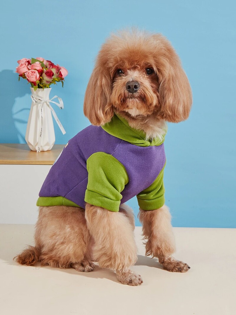 Mājdzīvnieku drēbes suņu kaķu sporta krekls ar samta siltu un ērtu purpursarkanu un zaļu šuvju drēbes ar vienkāršiem un dāsniem apdrukām