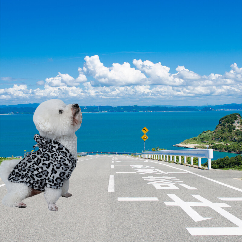 Mājdzīvnieku drēbes suns suns kaķis ar kapuci flaneļa silts un ērts melnbalts savīti raksts vienkāršs un dāsns