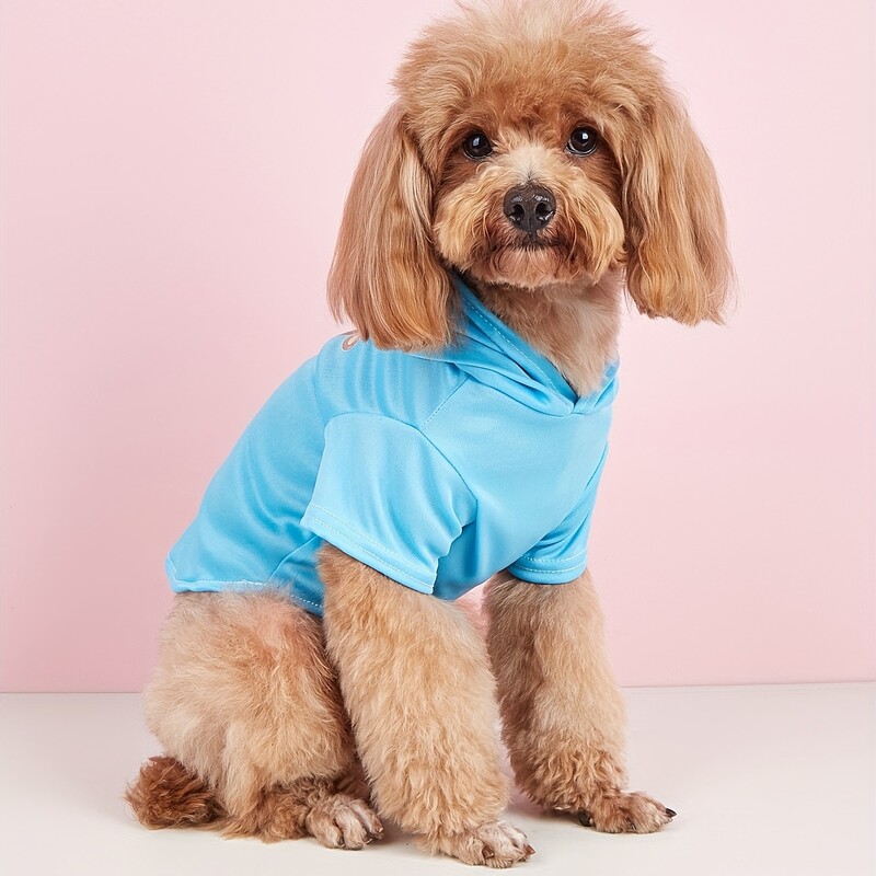 Mājdzīvnieku drēbes suņu kaķu sporta krekls ar samta siltu un ērtu zilu apģērbu ar vienkāršiem un dāsniem apdrukām