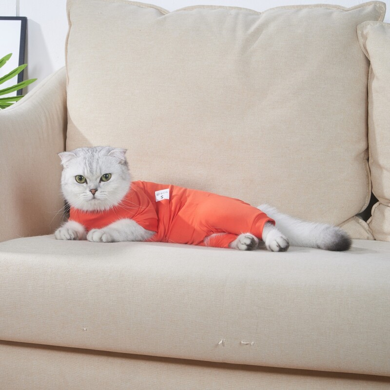 Kačių drabužiai, apsaugantys nuo laižymo, sterilizacija, kačiuko chirurginis kostiumas, nujunkymas, kvėpuojantis šuniukas, apsaugantis nuo įbrėžimų kūno dirželio liemenė naminiams gyvūnėliams