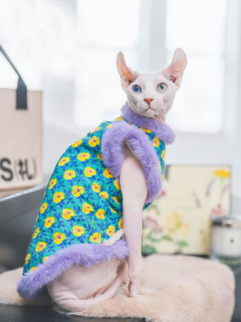 Λούτρινο Cheongsam Cotton Jacket Suit for Sphynx Cat in Winter χοντρό ζεστό πουλόβερ για γατάκια Μαλακό παλτό δαντέλας για θηλυκή γάτα