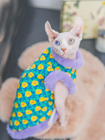 Λούτρινο Cheongsam Cotton Jacket Suit for Sphynx Cat in Winter χοντρό ζεστό πουλόβερ για γατάκια Μαλακό παλτό δαντέλας για θηλυκή γάτα