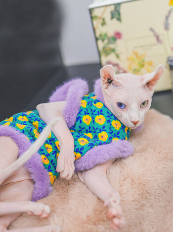 Λούτρινο Cheongsam Cotton Jacket Suit for Sphynx Cat in Winter χοντρό ζεστό πουλόβερ για γατάκια Μαλακό παλτό δαντέλας για θηλυκή γάτα