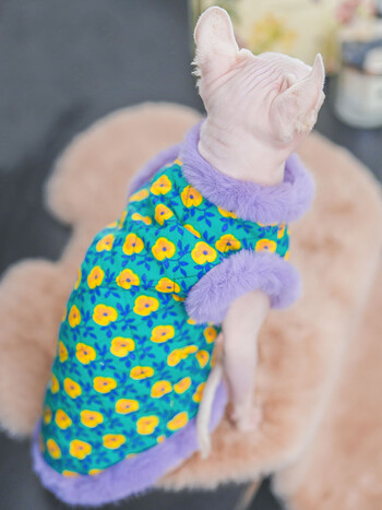 Λούτρινο Cheongsam Cotton Jacket Suit for Sphynx Cat in Winter χοντρό ζεστό πουλόβερ για γατάκια Μαλακό παλτό δαντέλας για θηλυκή γάτα